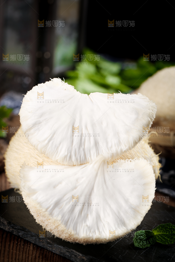 黑底上的猴头菇