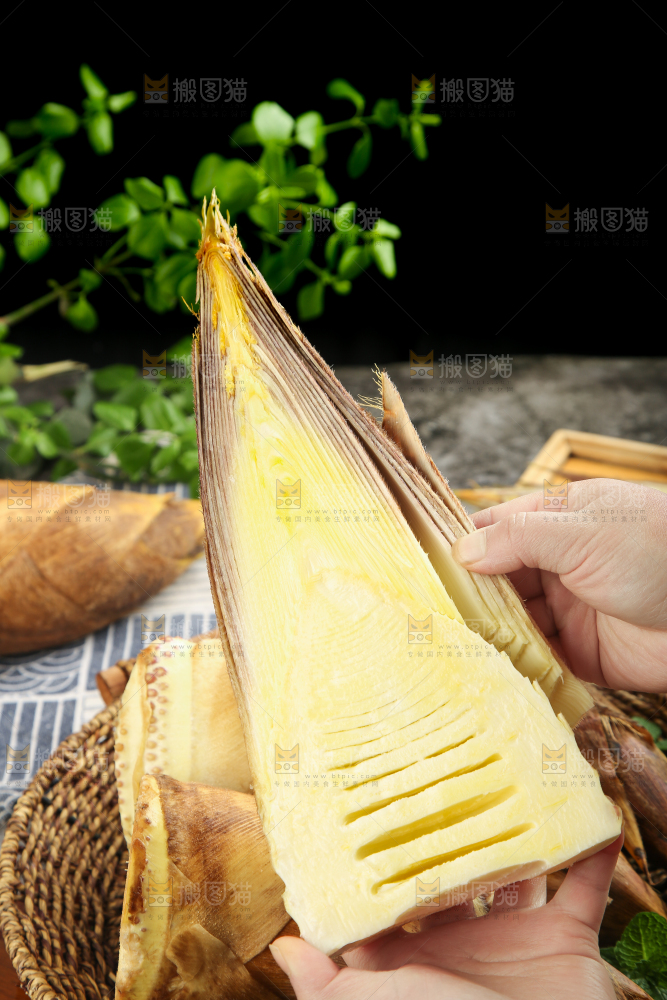 手拿切开的临安冬笋