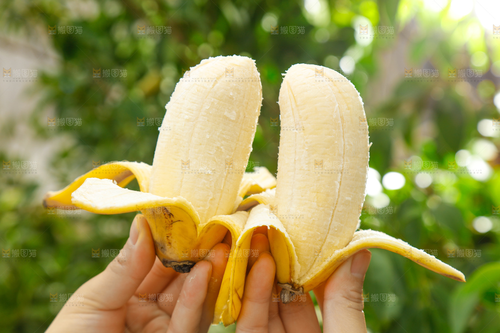 手拿剥皮的广西苹果蕉