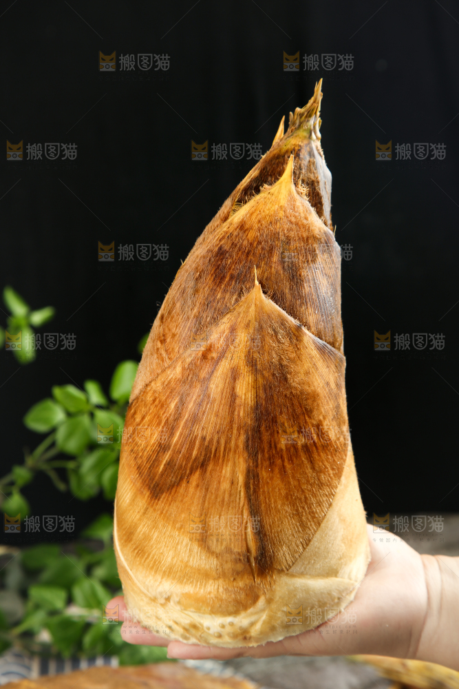 手拿竹笋
