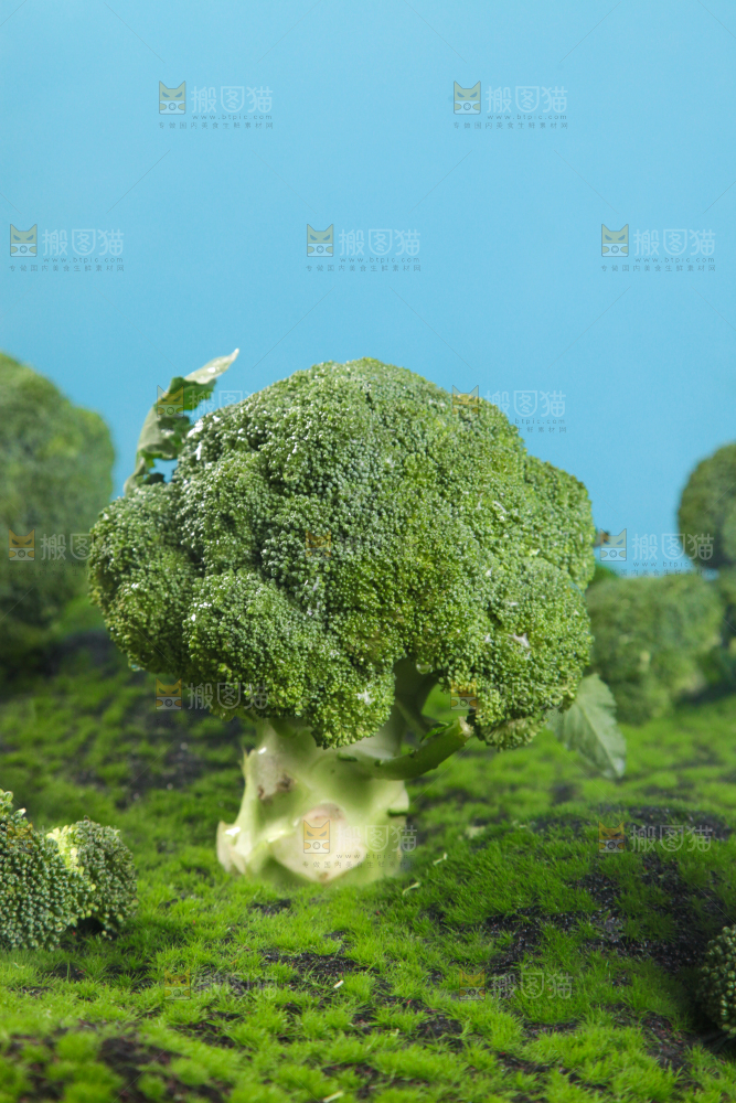 西兰花背景纹理