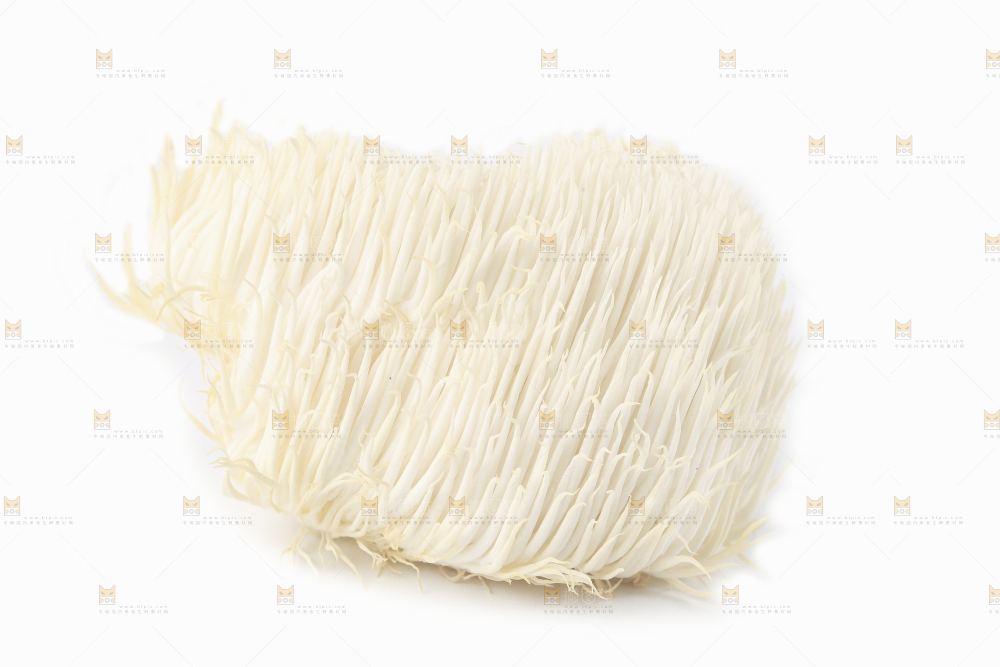 白底上的长白山猴头菇