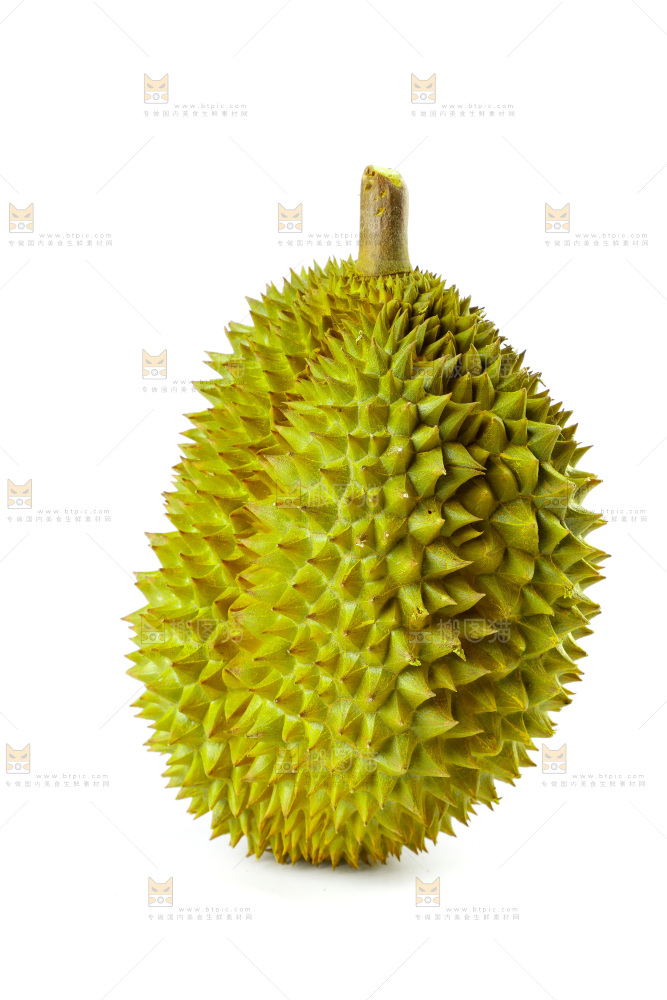 白底上的新鲜榴莲