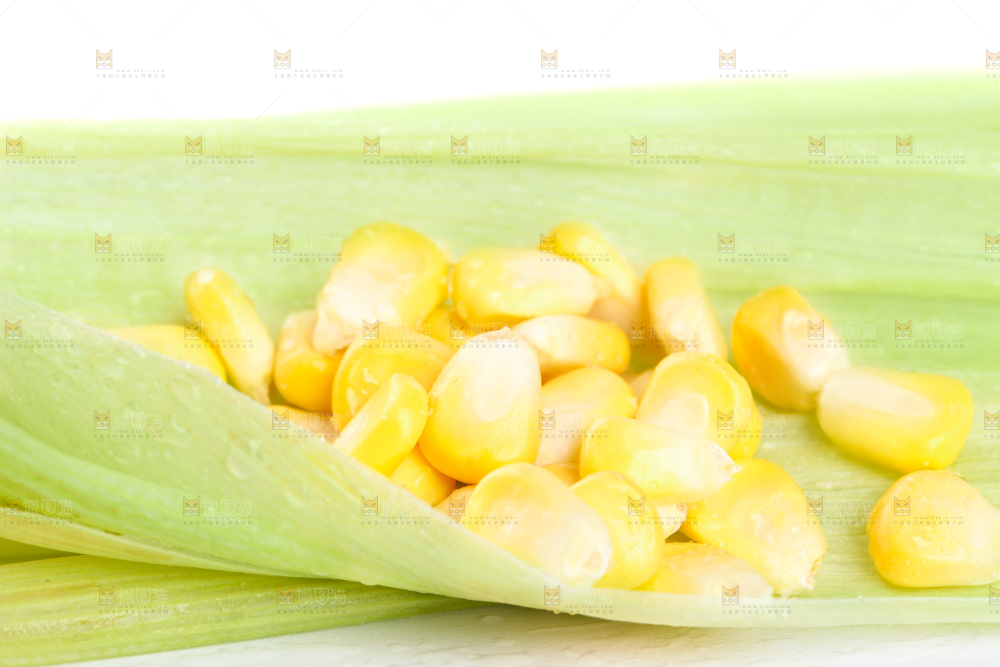 白底上的玉米粒