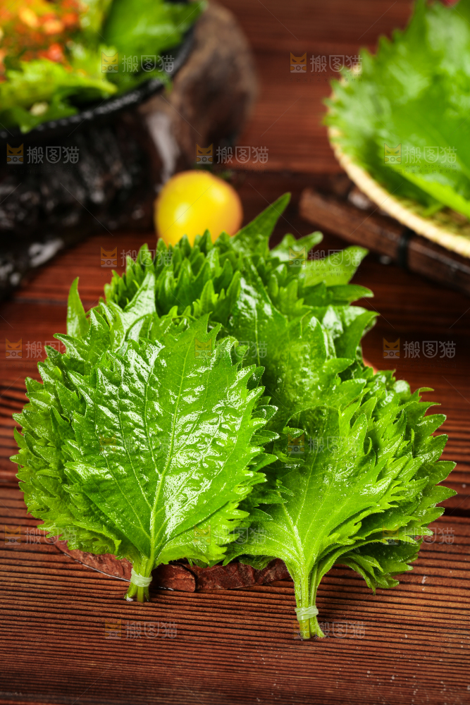 木底上的新鲜紫苏叶