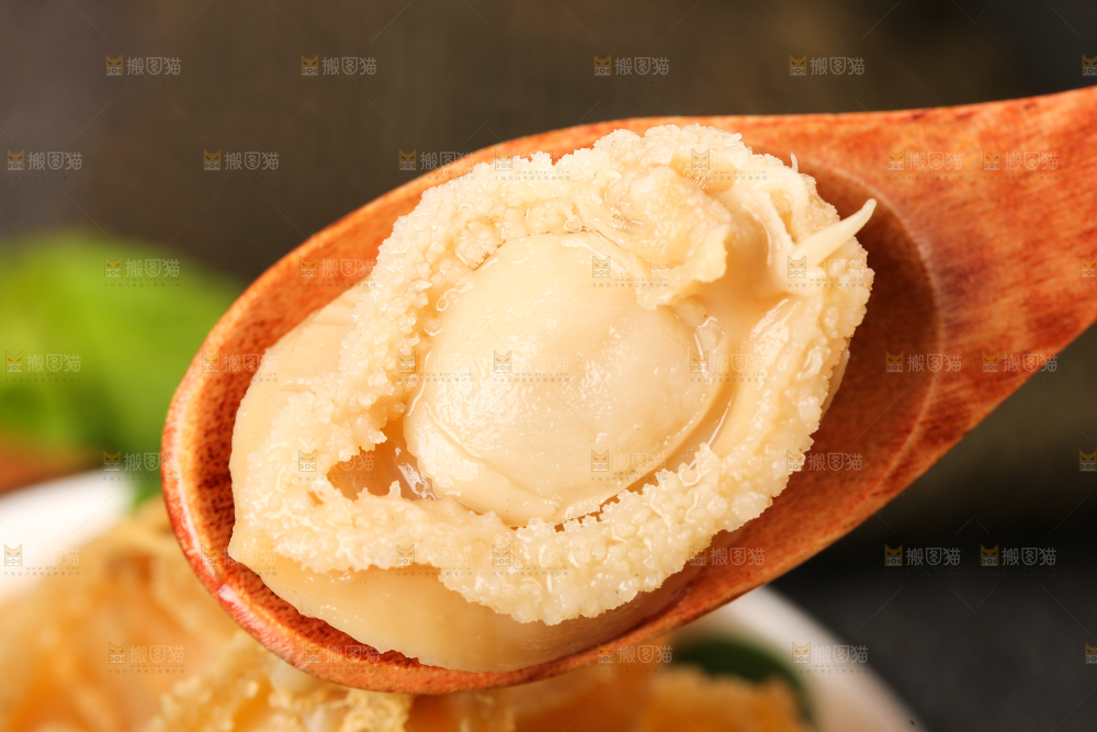 勺子里的鲍鱼干