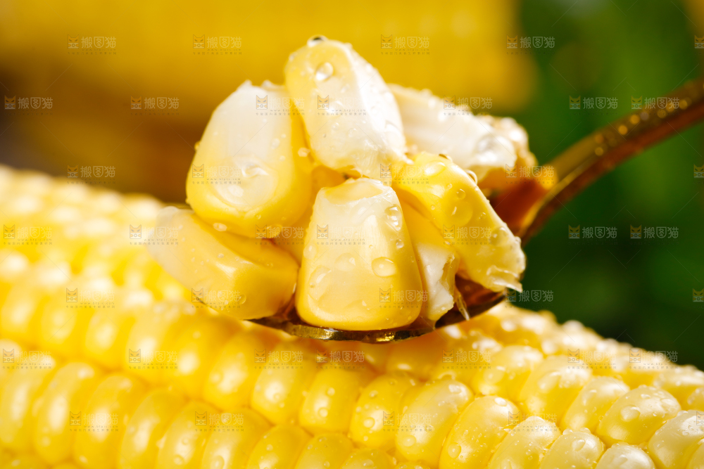 深底上放着玉米粒