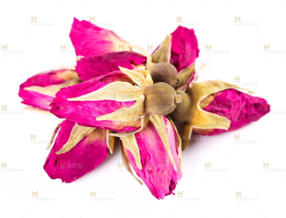 白底上的玫瑰花干