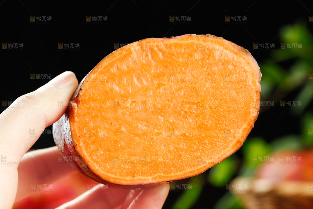 手里拿着新鲜蜜薯
