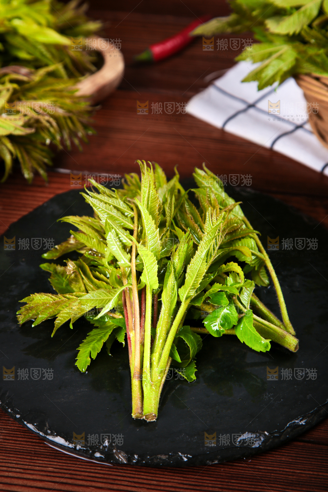 黑石板上的山东香椿芽