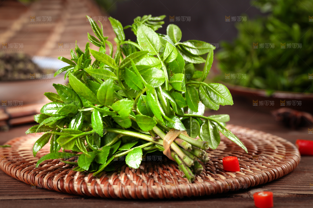 木底上的麻香花椒芽