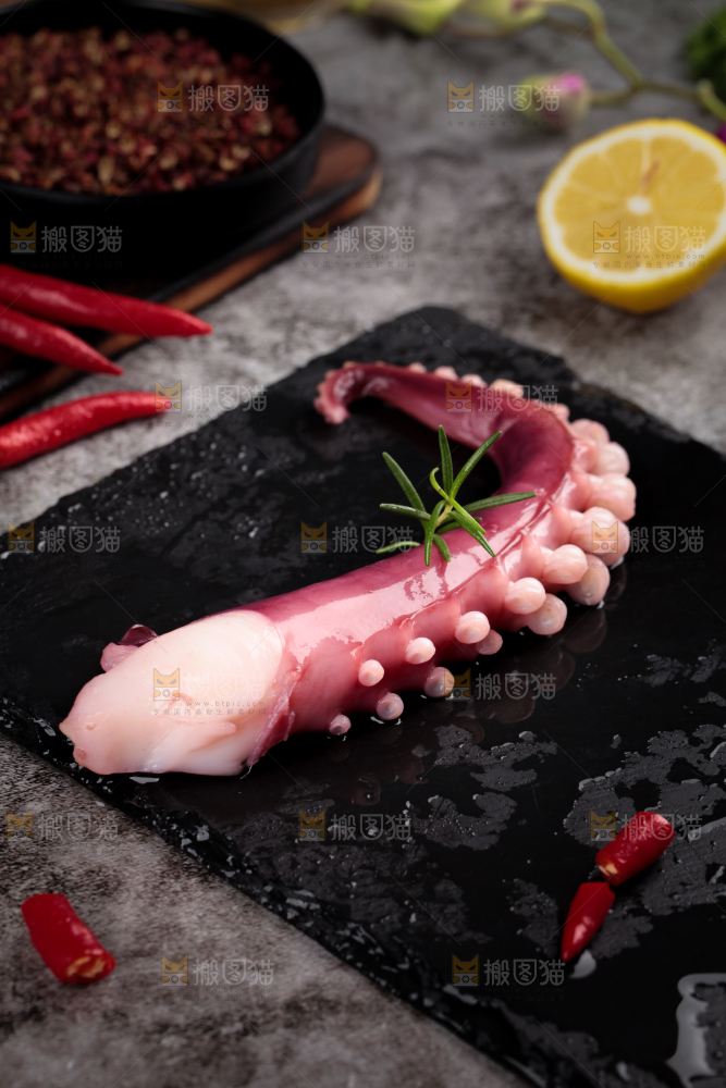 黑石板上的大鱿鱼
