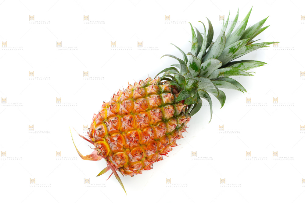 白底上的海南金钻凤梨