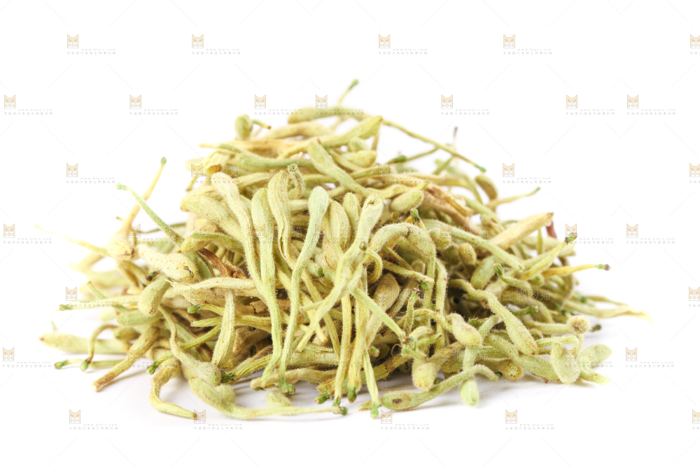 白底上的金银花