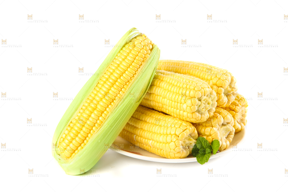 白底上放着一盘黄玉米