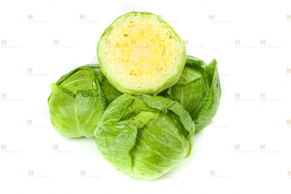 切开的卷心菜放在白底上