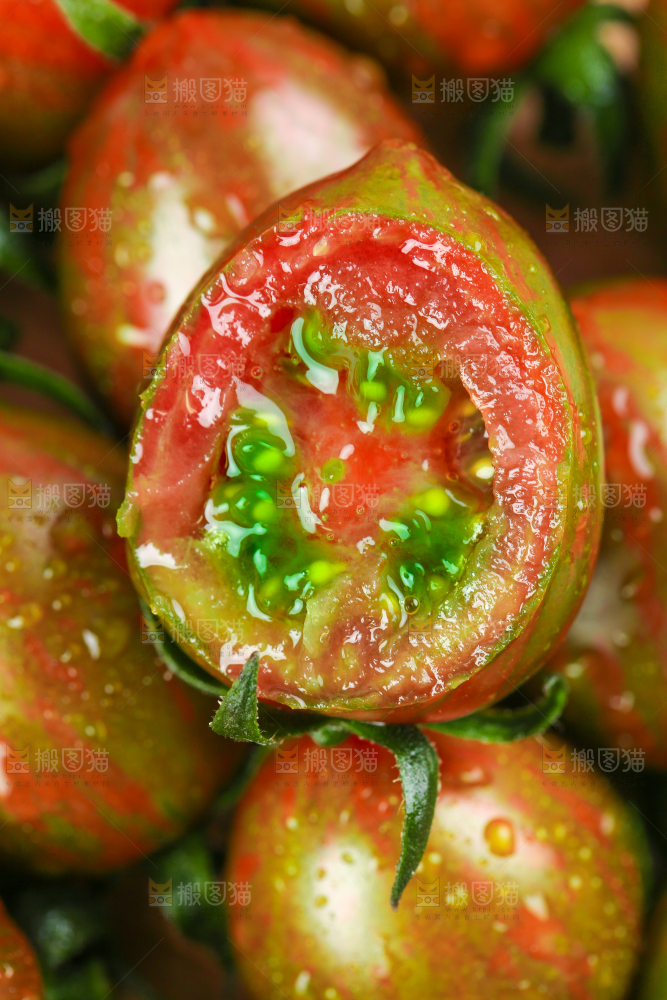 格子布上放着一盘山东迷彩小番茄