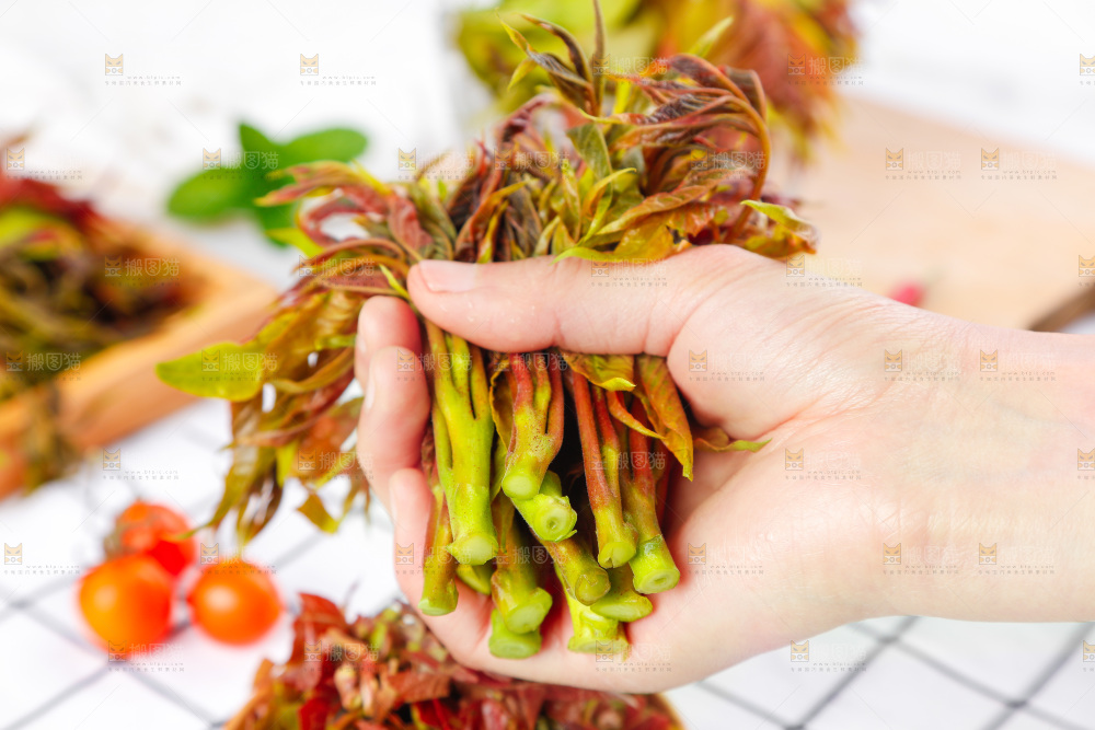 手拿沂蒙山香椿芽