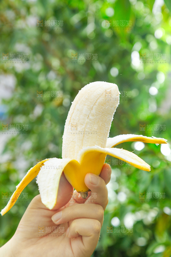 手拿剥皮的广西苹果蕉