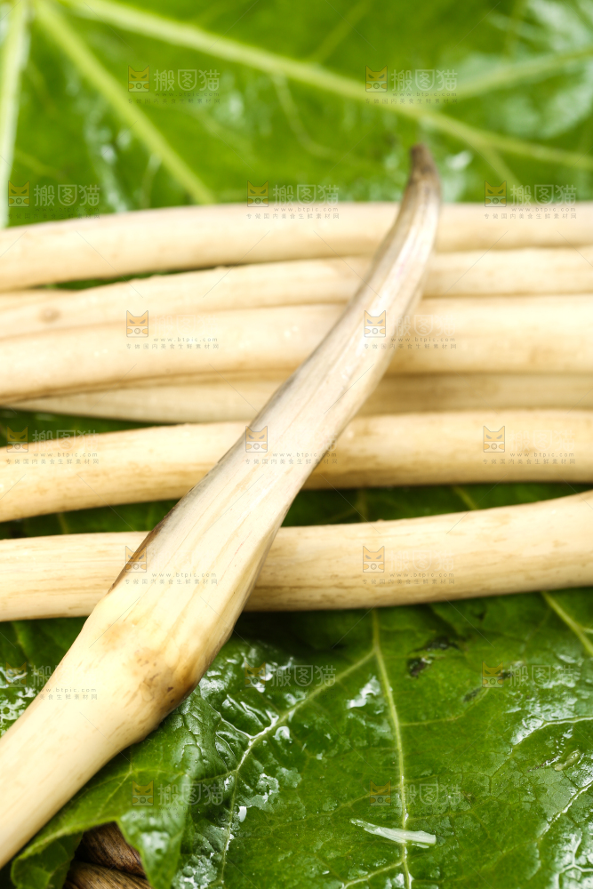 荷叶上放着洪湖藕带