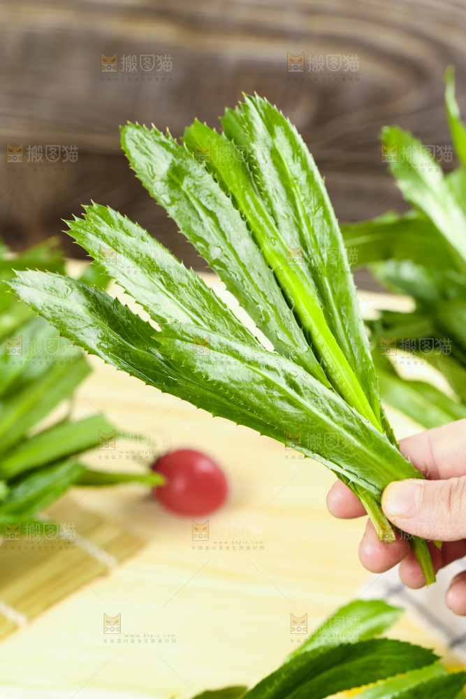 手拿云南大香菜