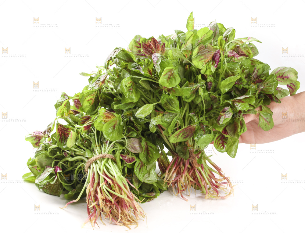 手拿红苋菜