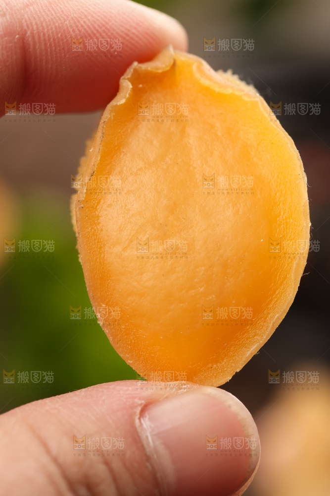 手拿鲍鱼干