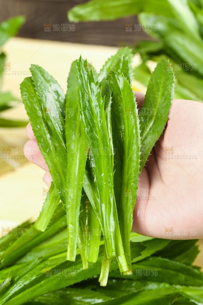 手拿云南大香菜