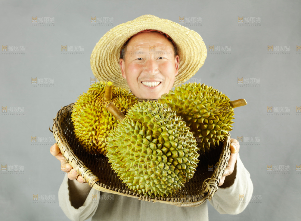 农民手里拿着泰国甲仑榴莲