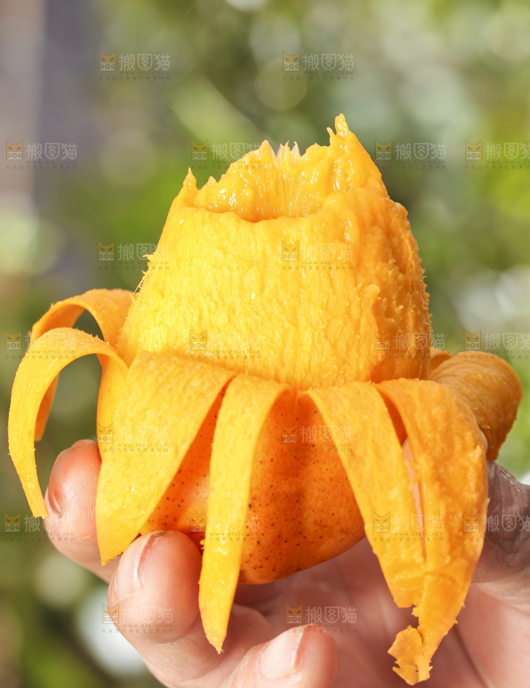 手拿剥皮的海南小台农芒果