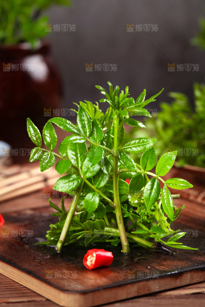 木底上放着麻香花椒芽