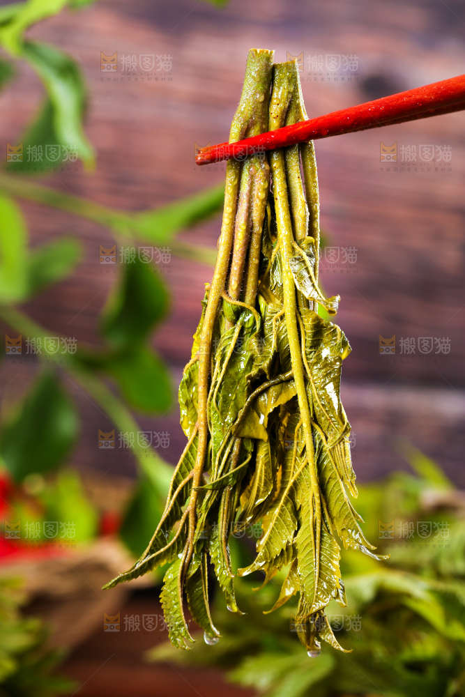 筷子夹着新鲜香椿芽