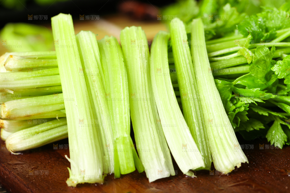 深底上的新鲜小香芹
