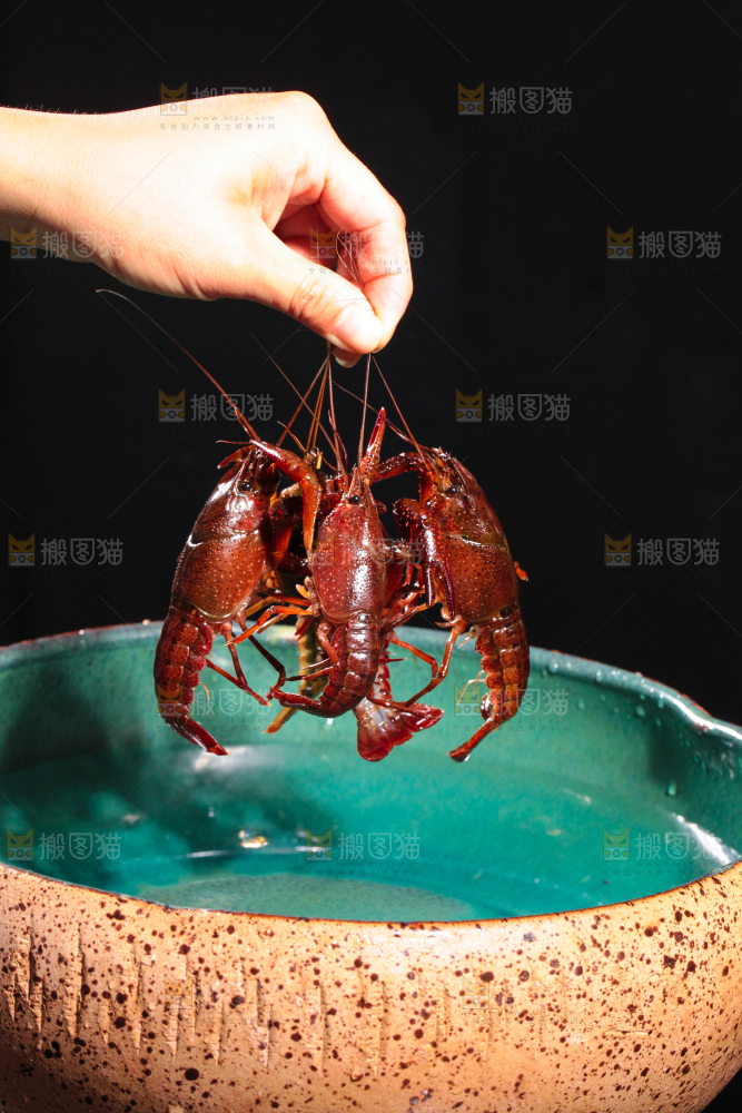 手里拿着清水虾