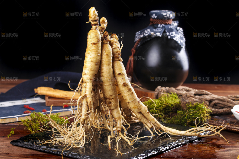 黑石板上的东北人参