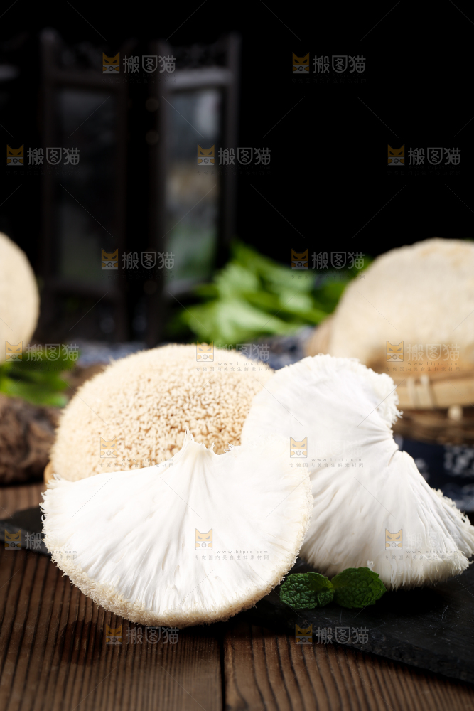 黑底上的猴头菇