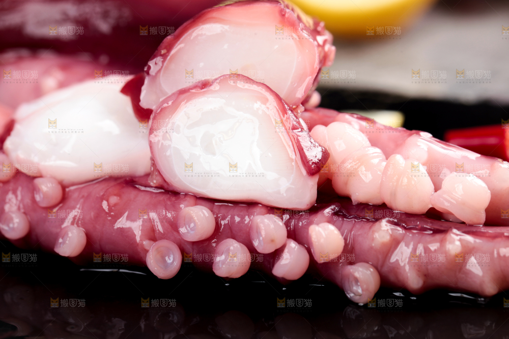 黑石板上的大鱿鱼