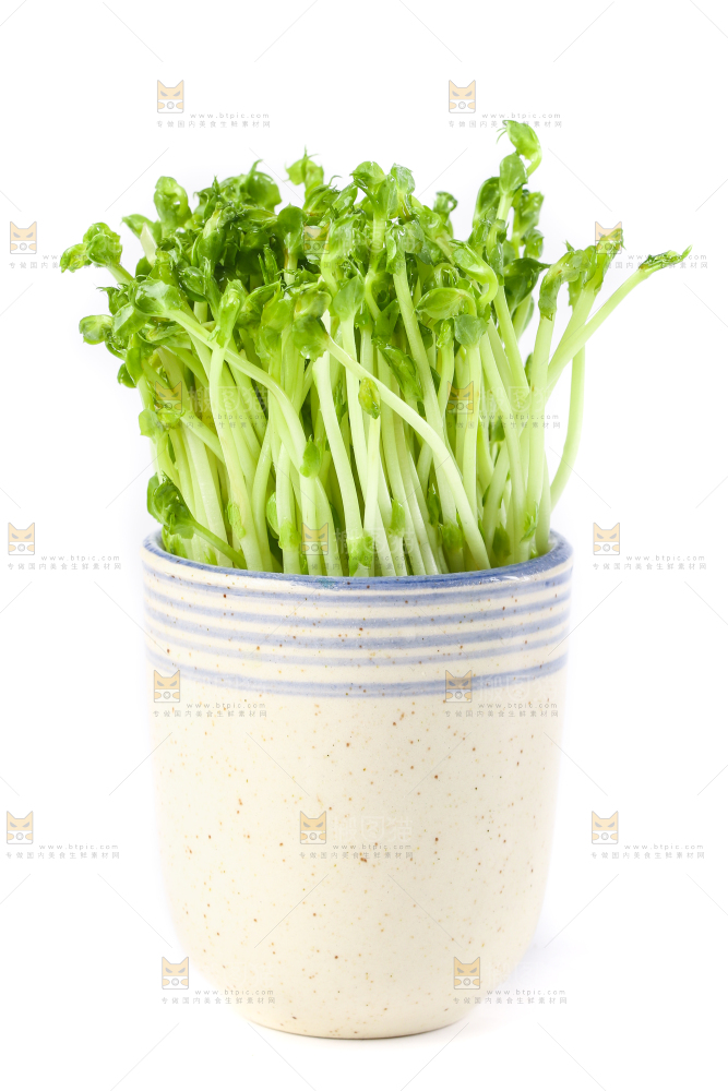 白底上放着豌豆芽菜