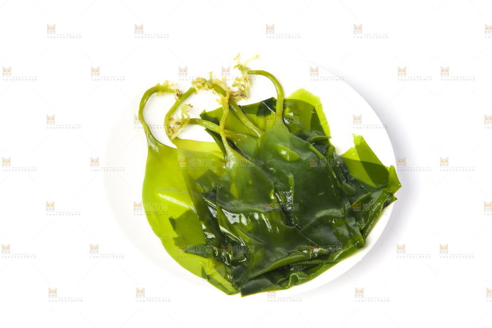 白底上放着海带苗