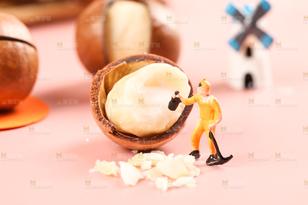 浅底上的夏威夷果