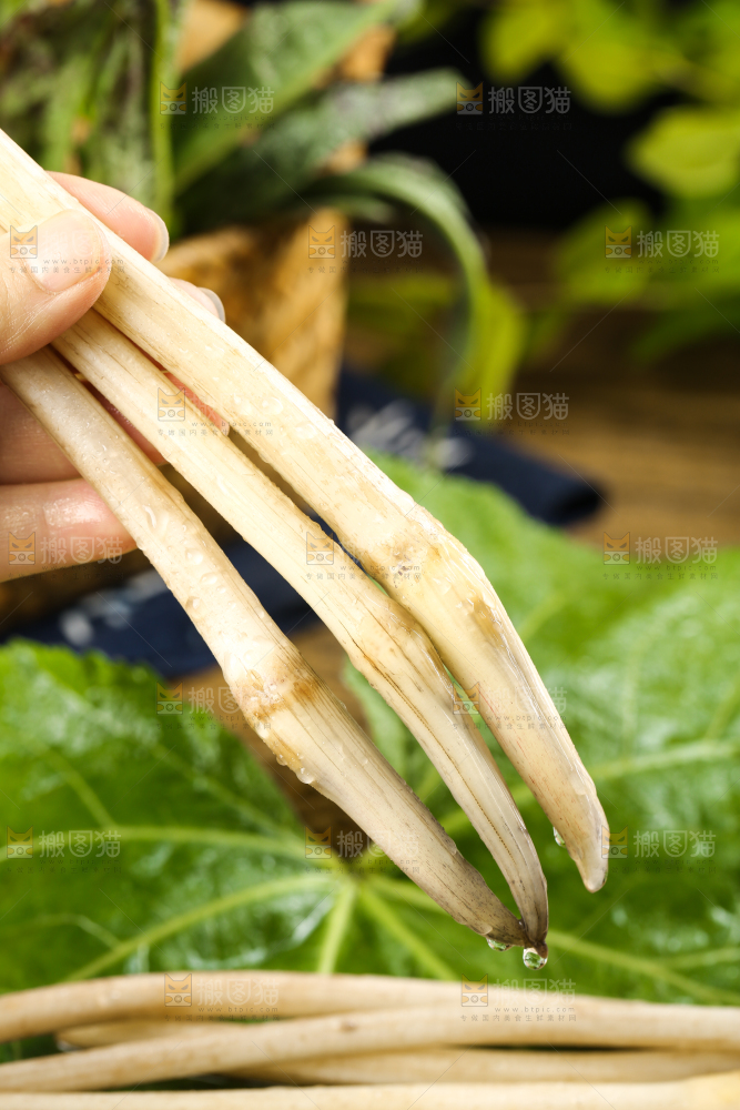 手里拿着新鲜藕带