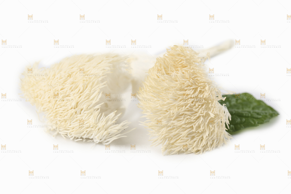 白底上放着东北山猴头菇