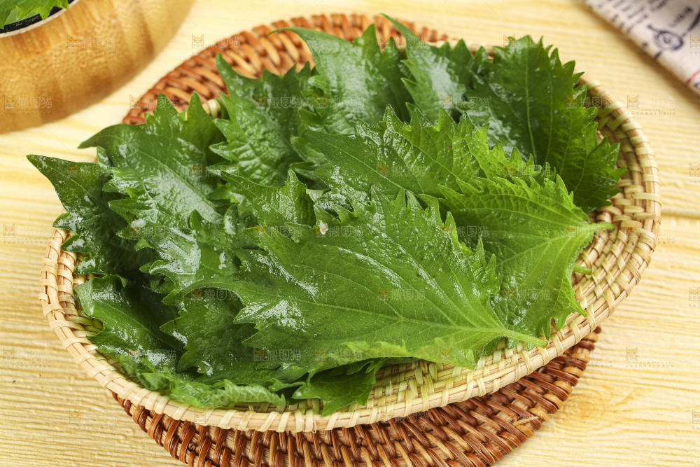 一盘绿紫苏叶放在木底上