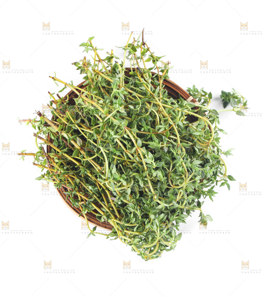 一盘麝香草放在白底上