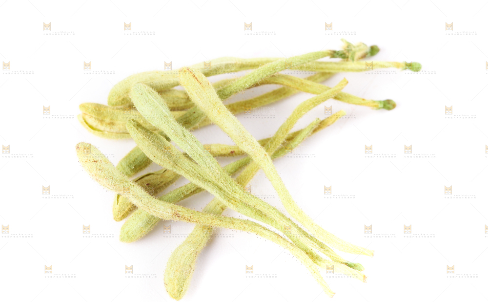 白底上的金银花