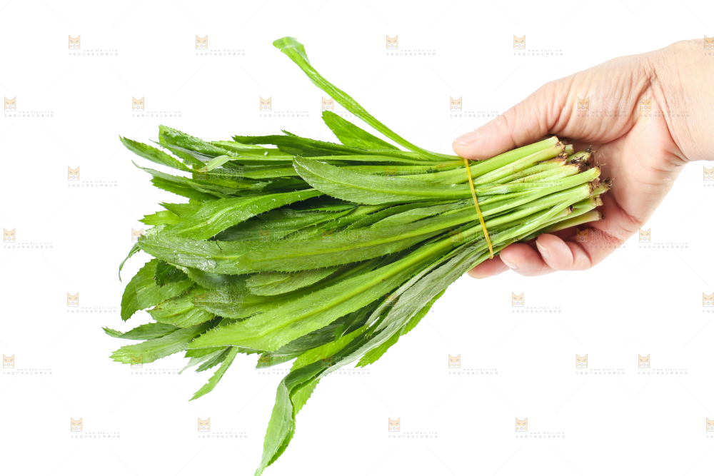手拿一捆云南大香菜