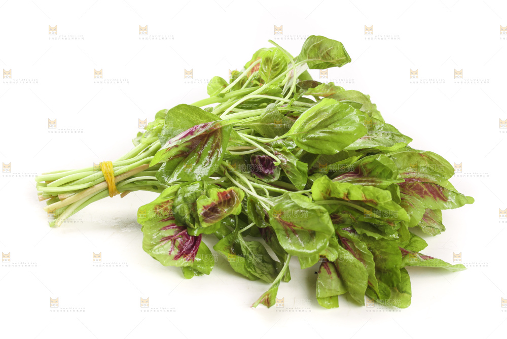 白底上的红苋菜