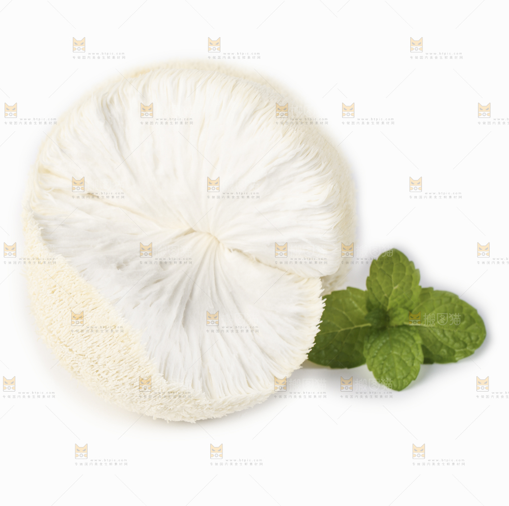 白底上放着东北山猴头菇