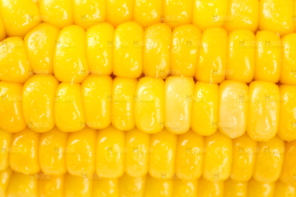白格子底上放着黄玉米