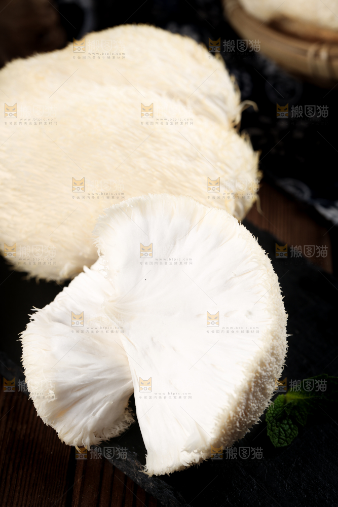 黑底上的猴头菇